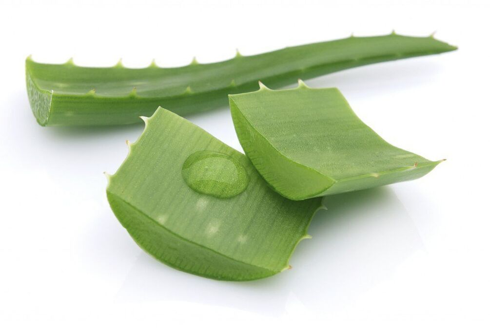 Aloe zur Behandlung von thorakaler Osteochondrose